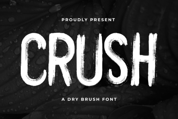 Crush: A Bold and Chunky Display Font That Elevates Creative Expression