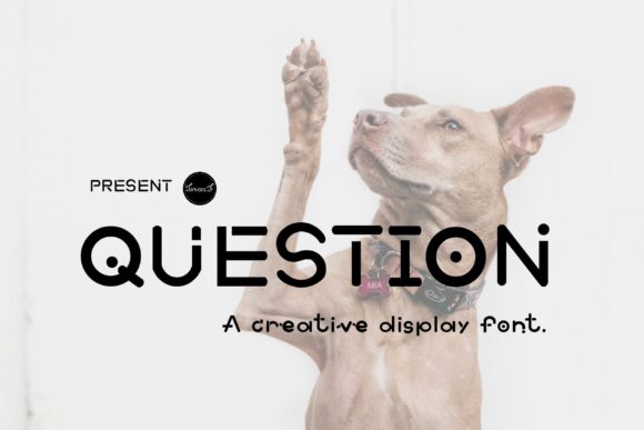 Question: A Playful Display Font That Elevates Your Visual Communication